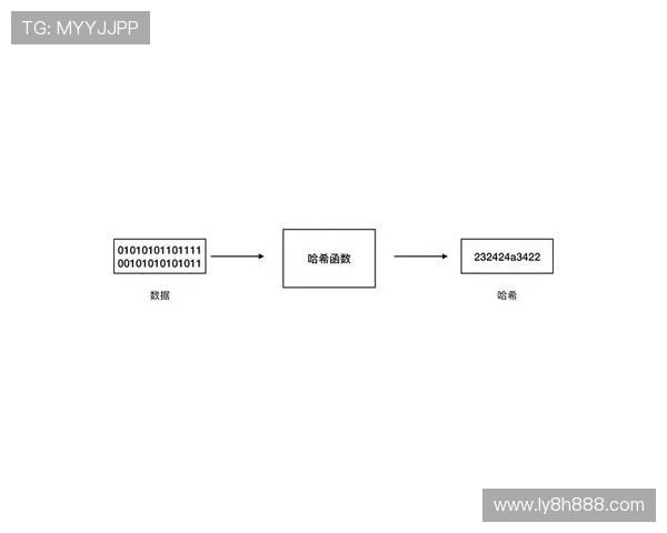 S9哈希算法解析与应用趋势全面研究与性能优化探讨