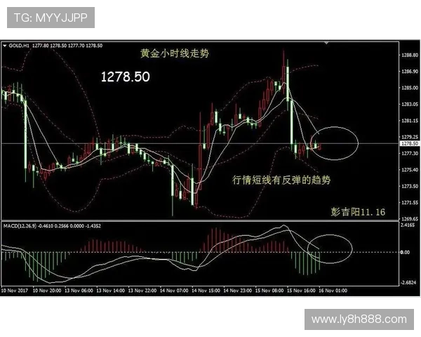 深入解析亚盘欧盘技巧教你轻松看懂足球盘口变化