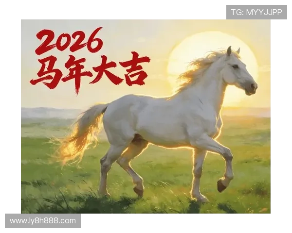 2026最新体育投注平台精选指南全面解析与推荐